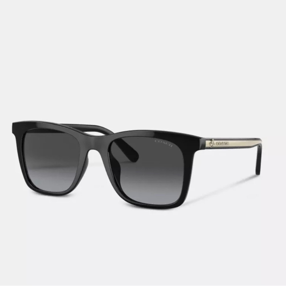 Coach Black and Silver Sunglasses